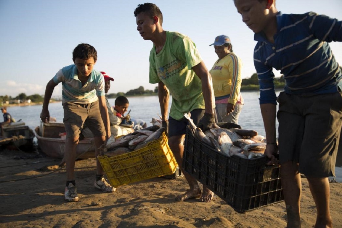 Nhập môq tả cho ảnh