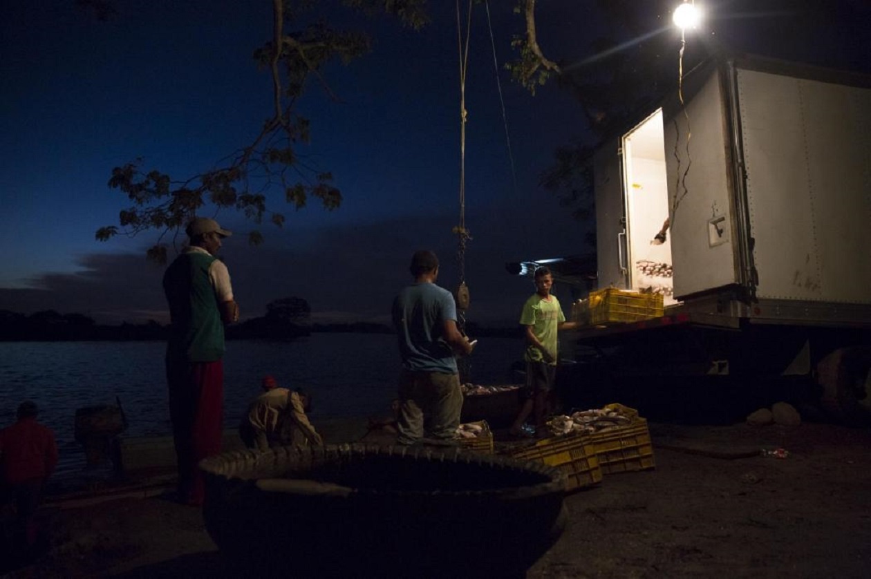 Nhập mô tả cqho ảnh