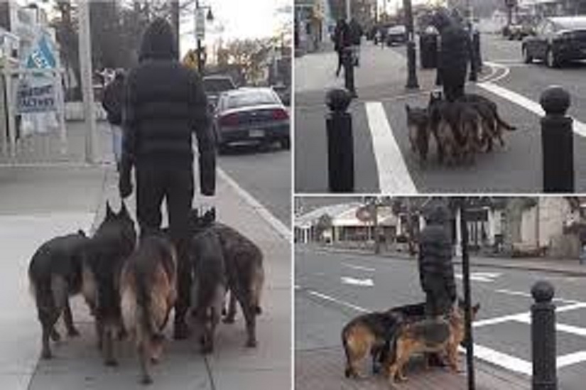 Anh chang dan bay cho ma khong can day hinh anh