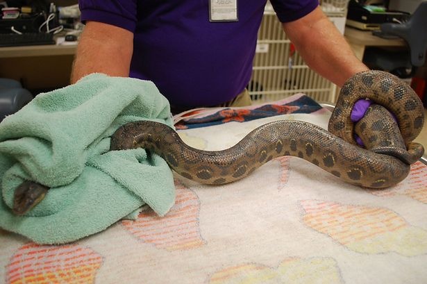 Tran len vao cong ty roi nam trong toilet hinh anh