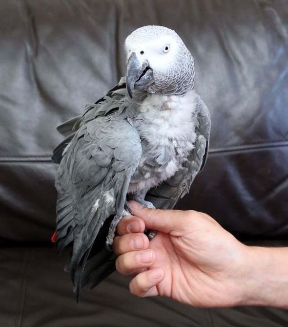 Vet huyt sao theo nhac nen cua phim hinh anh