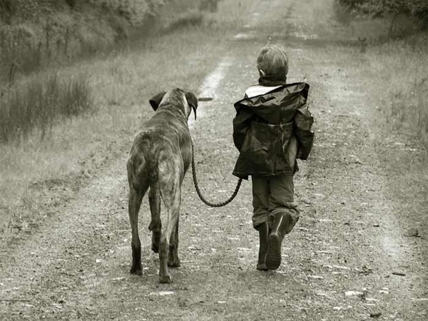 Năm 2004, một cậu bé hoang dã được một chú chó nuôi từ khi ba tháng tuổi sau khi bị cha mẹ bỏ rơi. Bảy năm sau đó, người ta phát hiện ra cậu bé sống tại một vùng xa xôi ở Siberia. Mẹ bé đã bỏ rơi khi cậu mới ba tháng tuổi, người cha nghiện rượu sau đó cũng ra đi nốt.  Nhân viên xã hội đã tìm thấy Andrei Tolsktyk khi cậu bé bảy tuổi. Andrei không thể nói nhiều, có nhiều biểu hiện giống chó như đi bằng bốn chân, cắn người, đánh hơi thức ăn và nhiều hành vi hoang dã khác. Sau hai tuần dạy dỗ, Andrei đã có thể đi bằng hai chân, ăn bằng thìa, ngủ trên giường. 