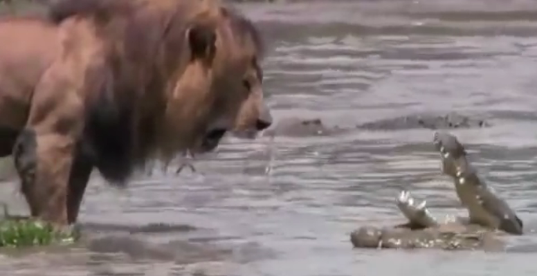 Bay su tu va dan ca sau nhe rang de doa nhau hinh anh