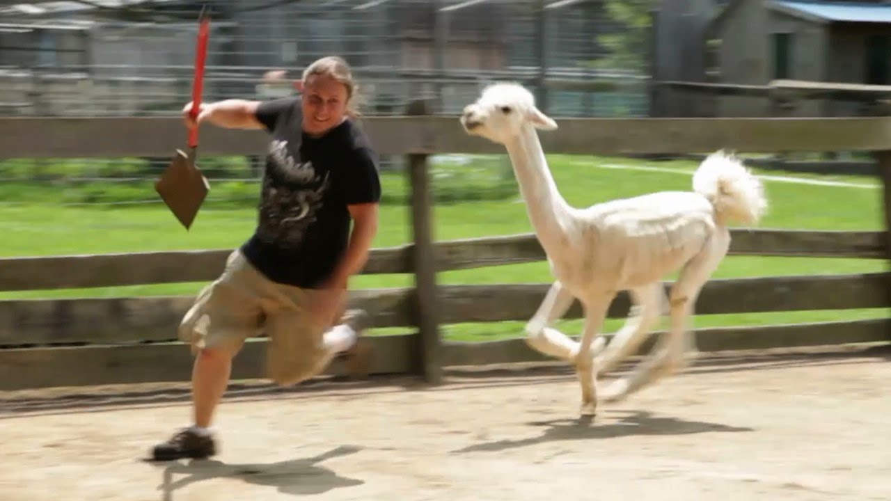 Lac da ruot duoi nguoi trong chuong hinh anh