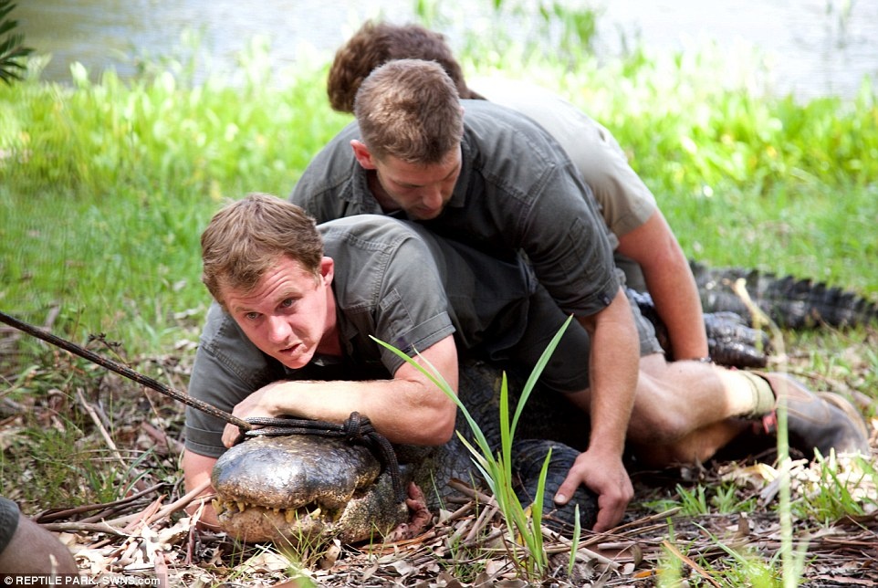 Bat ca sau gan nua tan bang thong long hinh anh