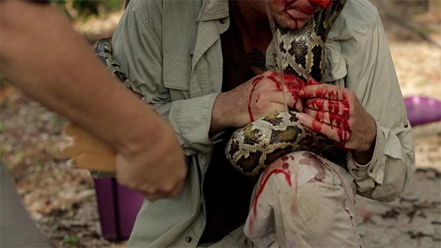 Tran can vao mat nguoi dan ong hinh anh