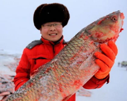 Canh bat ca ngoai co tren ho lon nhat Tan Cuong hinh anh