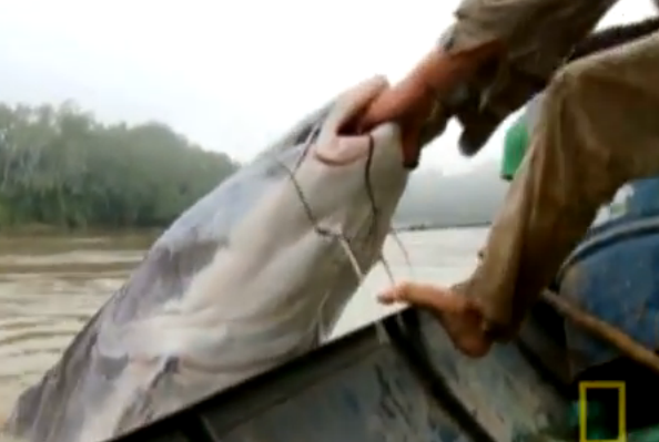 Nguoi vat lon voi thuy quai da tron tren song hinh anh