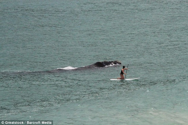 Người phụ nữ tỏ ra hoảng hốt khi thấy con cá.