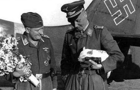 Tạo dáng với hoa và heo.