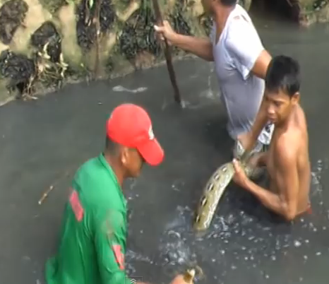 3 thanh nien bat tran duoi muong hinh anh