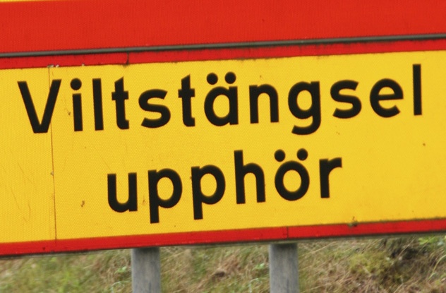 Một người phụ nữ ở Mỹ có thể nói tiếng Thụy Điển dù chưa tiếp xúc nhiều với nó. Ảnh minh họa: