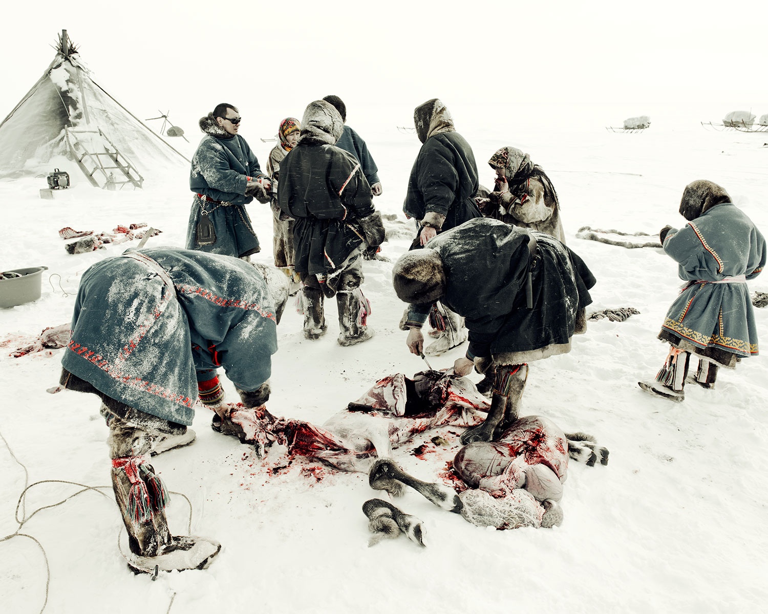 Ảnh: nord-espaces.com