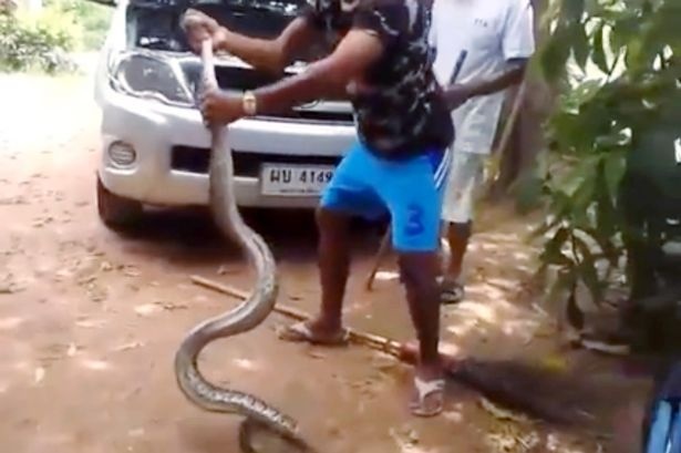 Loi ran khong lo tu dong co o to hinh anh