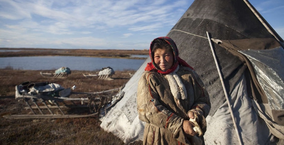 Da và lông tuần lộc là nguyên liệu để người Nenets chế tạo hầu hết vật dụng của họ