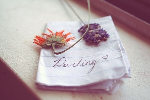 Nhung buc thu tinh cua bo hinh anh