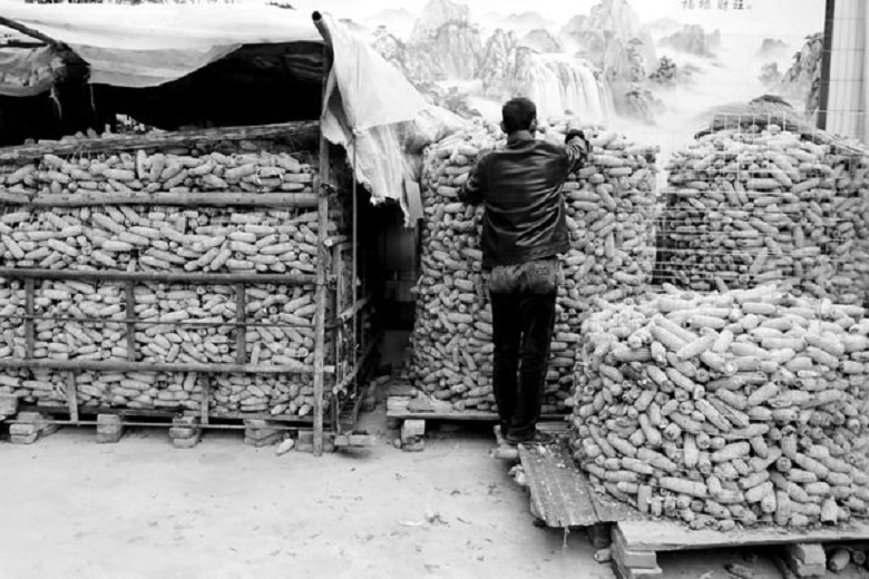 Nhập mô tả c1ho ảnh