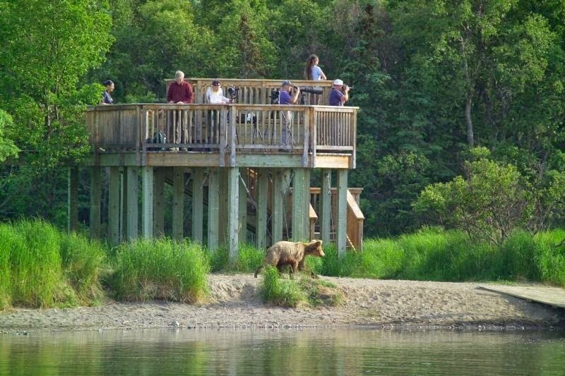 Nhập mô tả choe ảnh