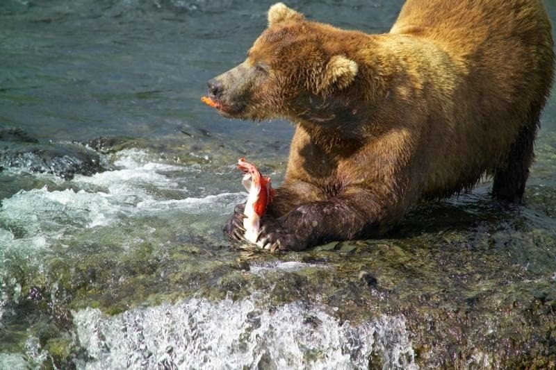 Nhập mô tả cho ảenh