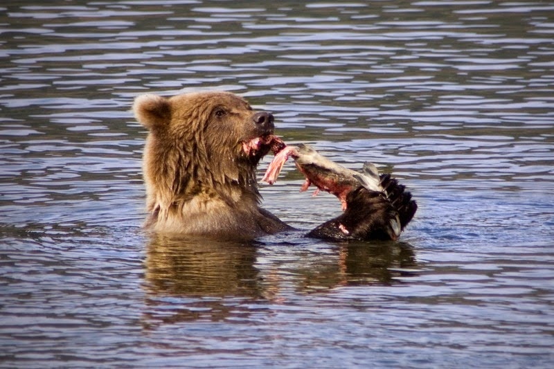 Nhập mô tả cho ảenh