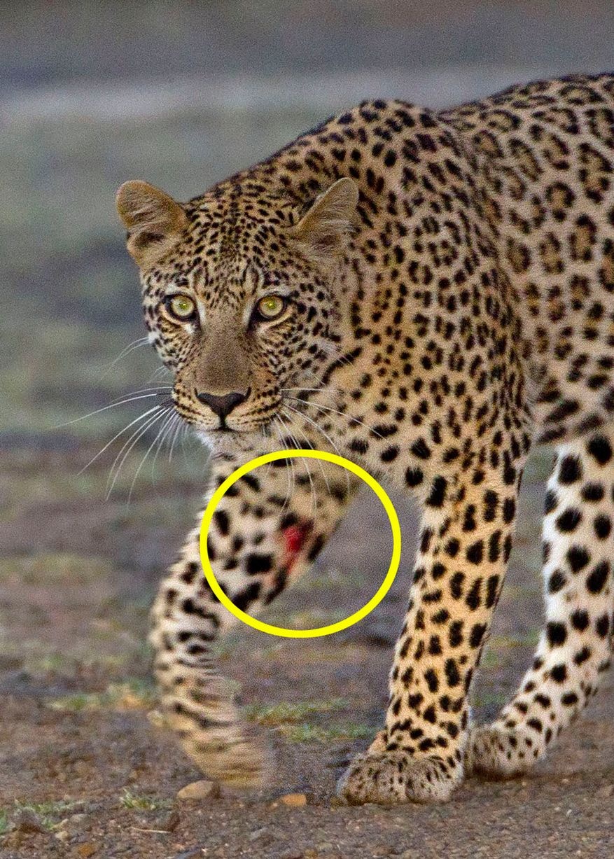 Nhập mô tả cho ảnfh