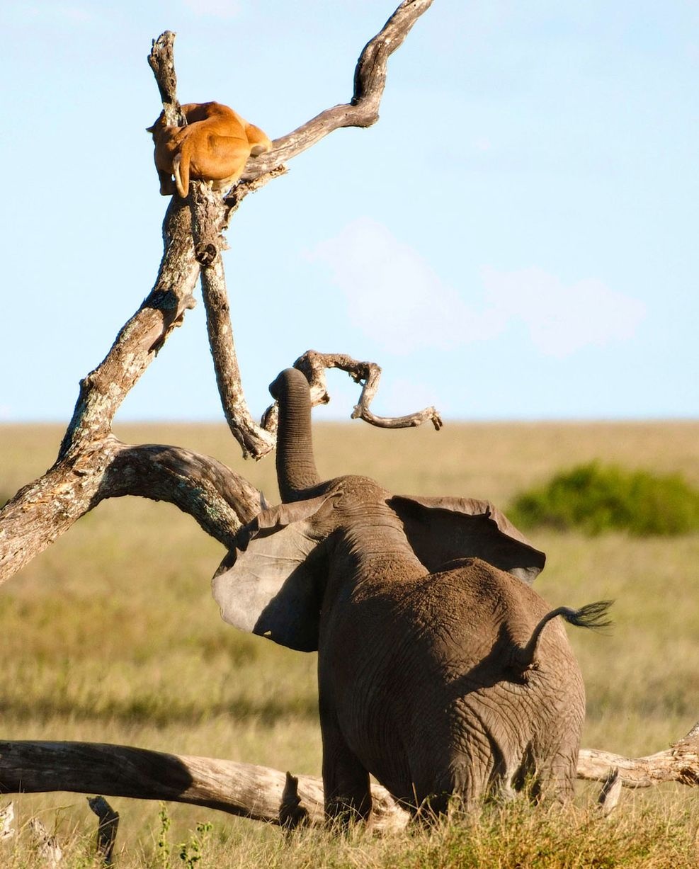 Nhập mô tả chof ảnh