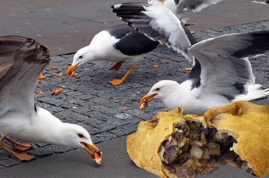 Hai au lam nguy vi xoi thuc an nhanh hinh anh