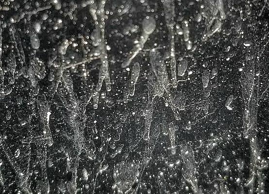 Những hạt bụi nhỏ li ti bám trên cửa kính của một văn phòng thuộc Cơ quan Khí tượng Quốc gia Mỹ sau trận mưa hôm 6/2. Ảnh: Twitter