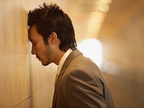 Chim mong bien tren dao kim cuong hinh anh