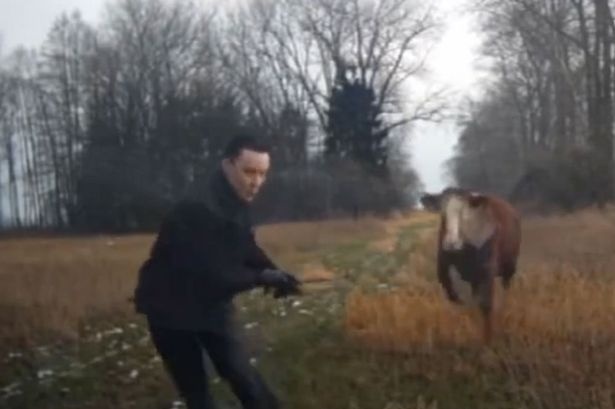 Bo duoi canh sat roi huc vo kinh o to hinh anh