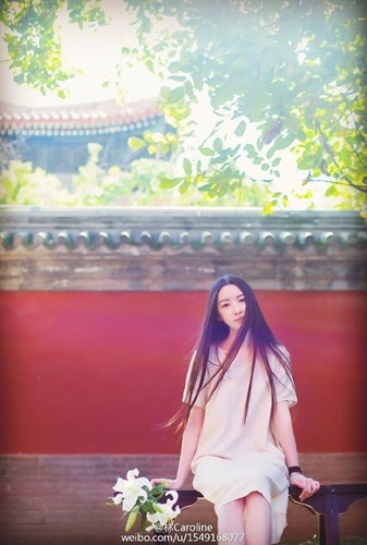 Trên thực tế, cô là Lý Hiểu Lâm, một họa sĩ mới nổi ở Trung Quốc.