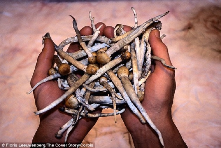 Con nguoi dung chat gay nghien tu thoi tien su hinh anh