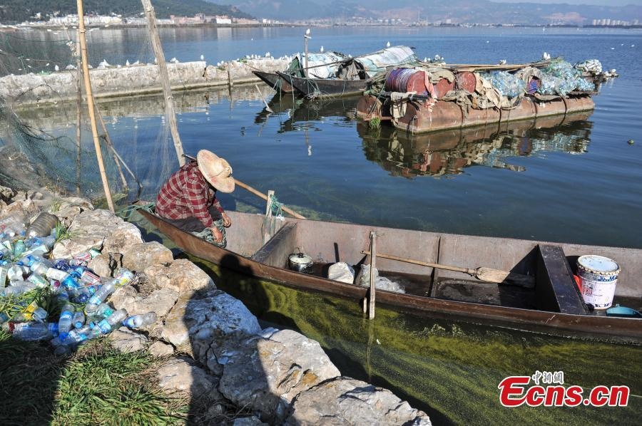 Yang kiếm tiền bằng công việc nhặt chai nhựa và các loại phế liệu khác trên hồ Điền Trì