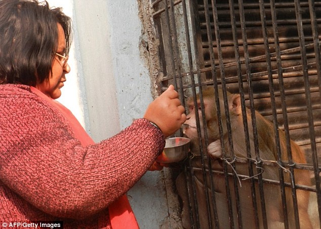 Khong co con, doanh nhan An Do de lai tai san cho khi hinh anh