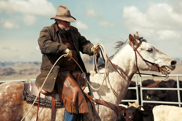Thanh toan bua nhau bang sung hinh anh