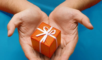 An chuong bang cui cho hinh anh