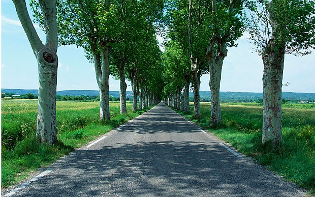 10.000 nguoi Phap ky ten phan doi chat cay hinh anh