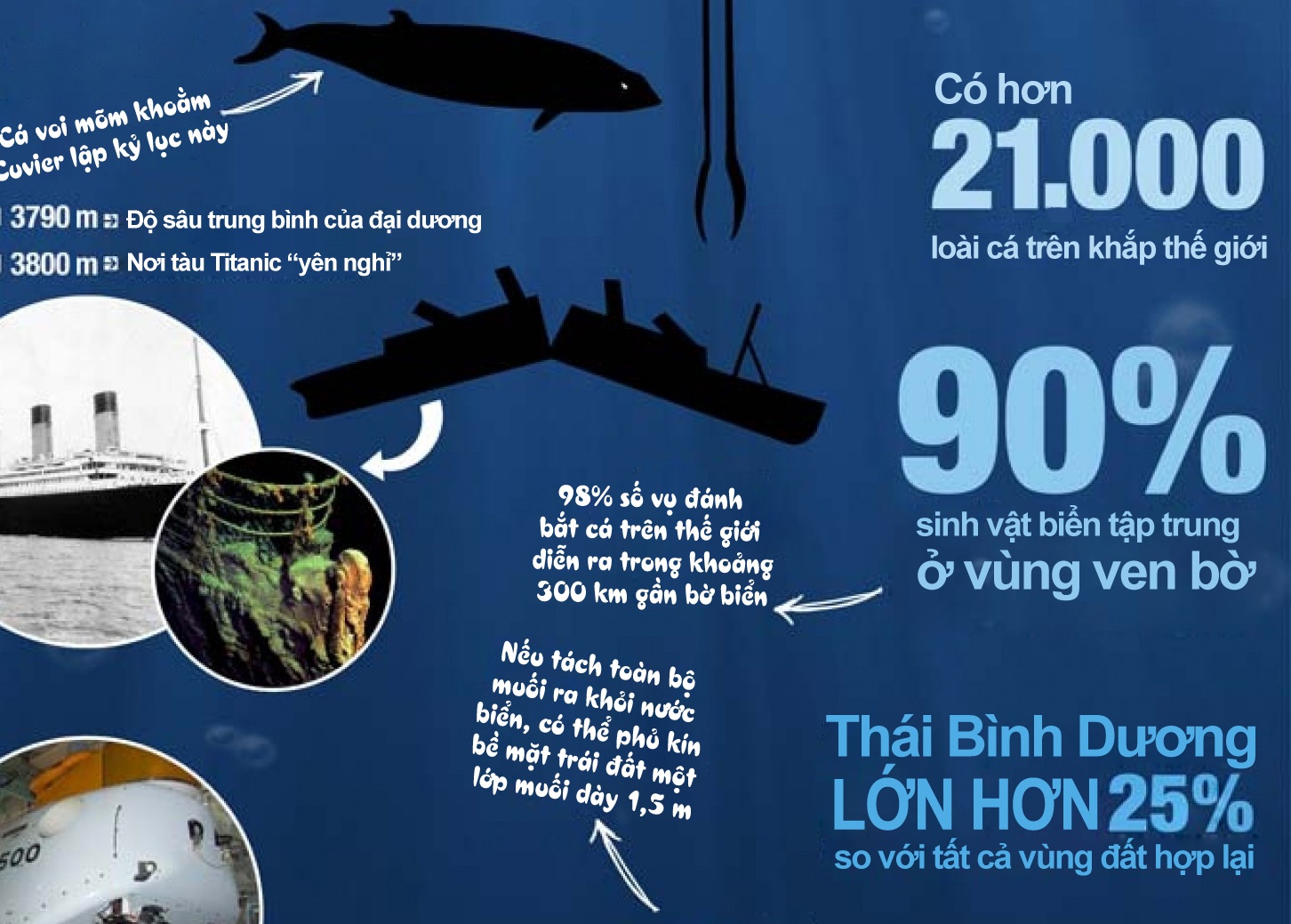 Kham pha 10.000 m duoi long dai duong hinh anh