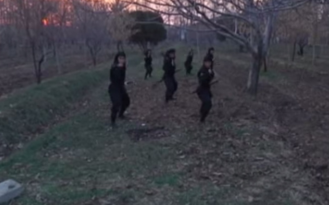 Su that ve 'lo dao tao nu sat thu' cua Iran hinh anh