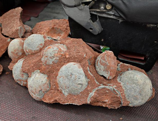 Canh dao trung khung long trong thanh pho o Trung Quoc hinh anh