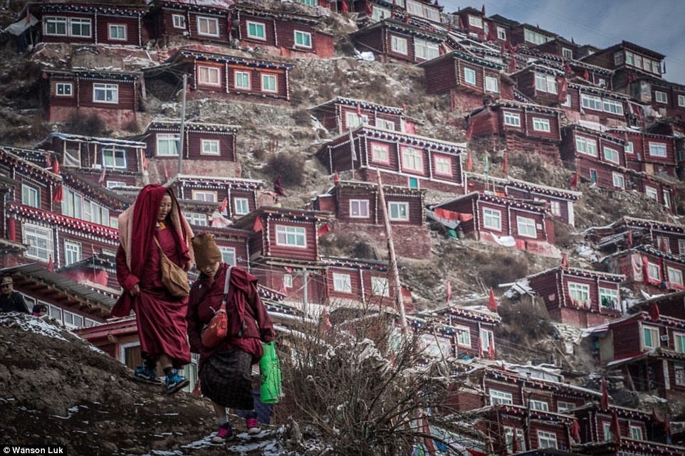 Nhập mô tả chdo ảnh