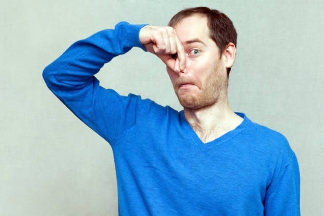 Ảnh minh họa: pixgood.com