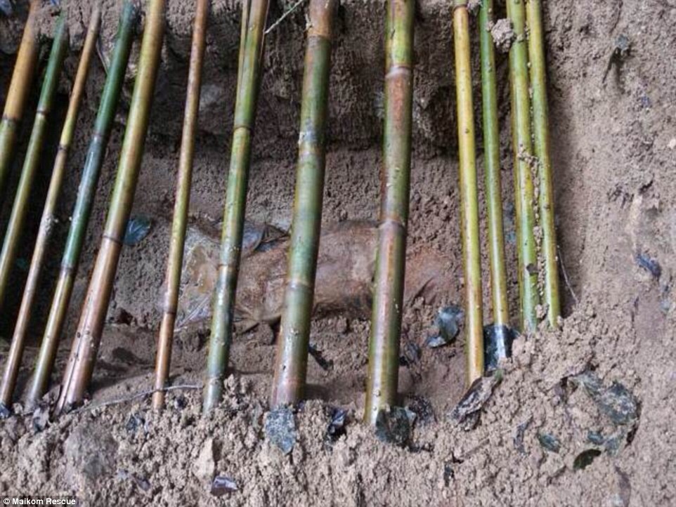 Canh bi thuong trong mo tap the cua nguoi ti nan o Thai Lan hinh anh