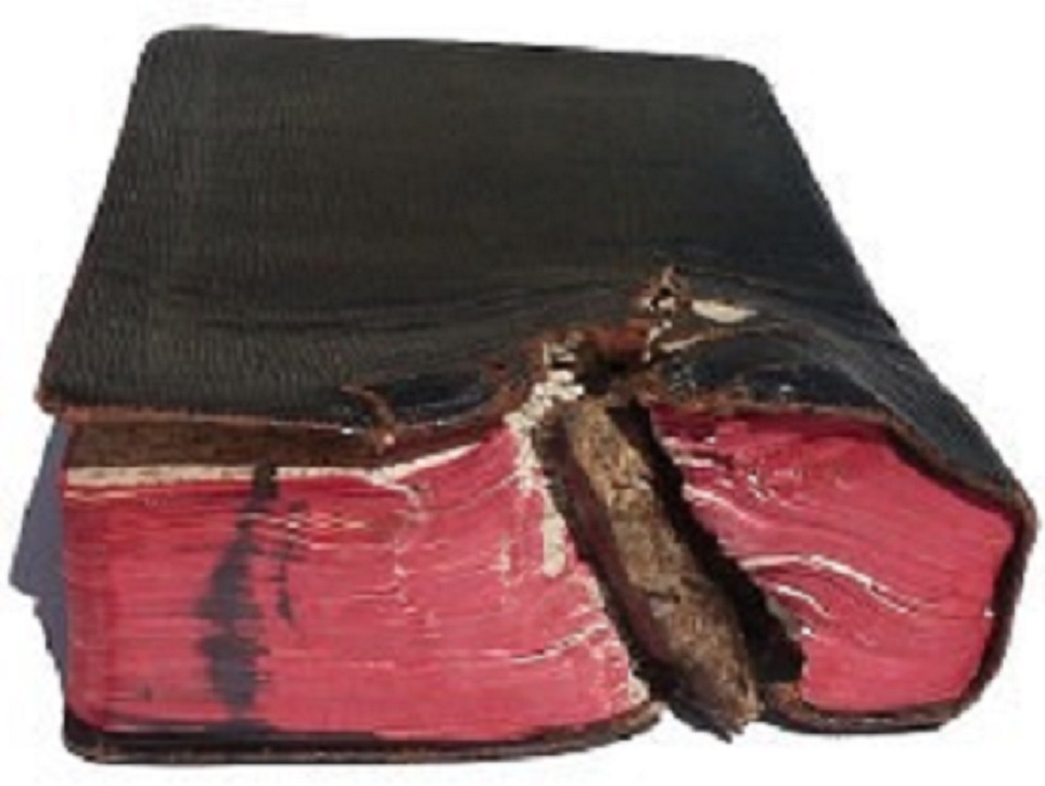 Nhập mô tả cho ảsnh