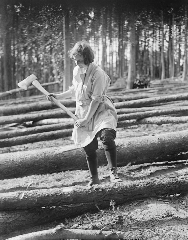 Nhập mô tả cho ảsnh