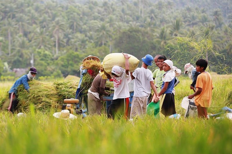 Bao do bo Philippines, gioi chuc canh bao lo dat hinh anh
