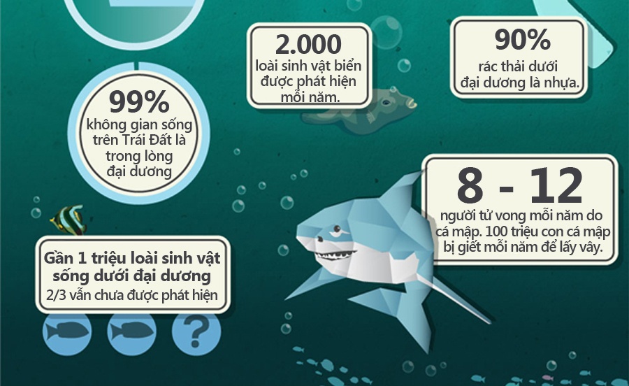 Nhung su that it biet ve bien va long dat hinh anh