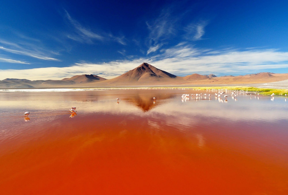 Laguna Colorada (Red Lagoon), hồ muối cạn nổi tiếng ở Bolivia, tọa lạc trong vườn dự trữ sinh quyển quốc gia Eduardo Avaroa Andean, gần với biên giới Chile. Nơi đây được gọi là hồ muối đỏ vì nhìn từ xa mặt nước hồ nhuộm một màu đỏ như máu. Nguyên nhân của màu nước độc đáo này là một loại tảo và trầm tích lắng đọng phía dưới.