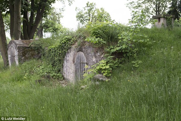 Lối vào hầm rượu