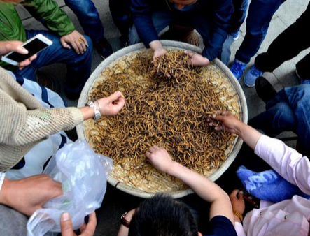 Canh ban dong trung ha thao nhu rau tren pho o Tay Tang hinh anh